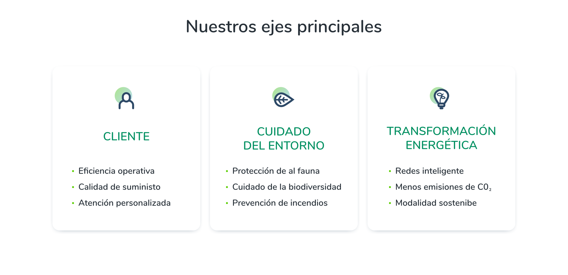 Nuestros ejes principales